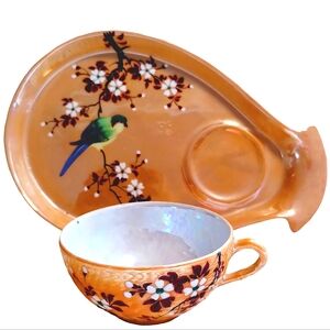 Lusterware Tea Cup & Plate Hand Painted in Japan